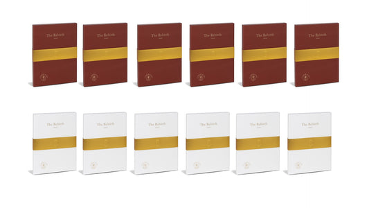 Set of twelve journal boxes titled 'The Rebirth' with gold bands on a white background