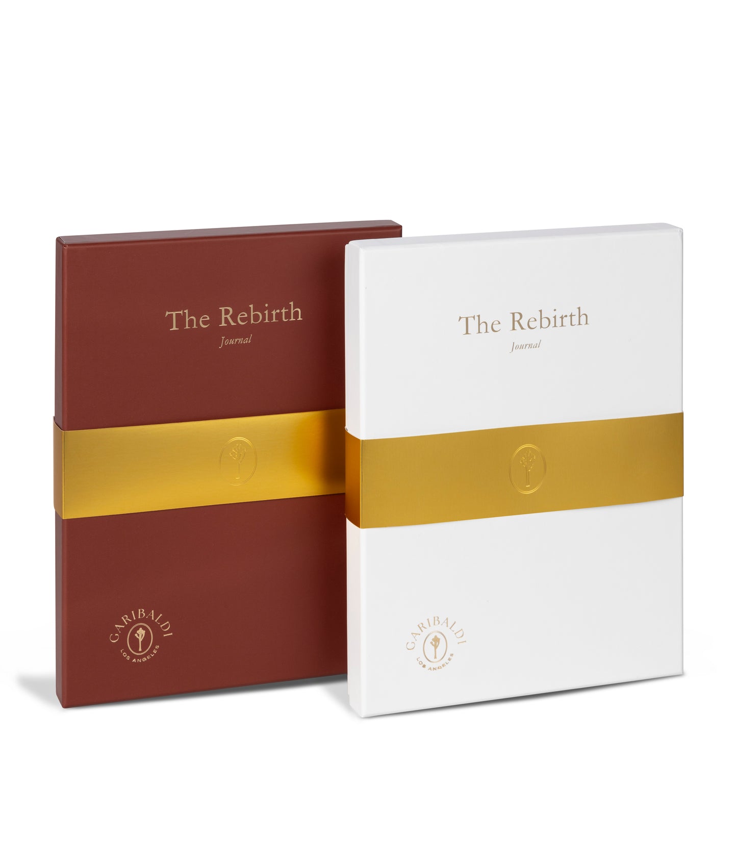 The Rebirth Journal