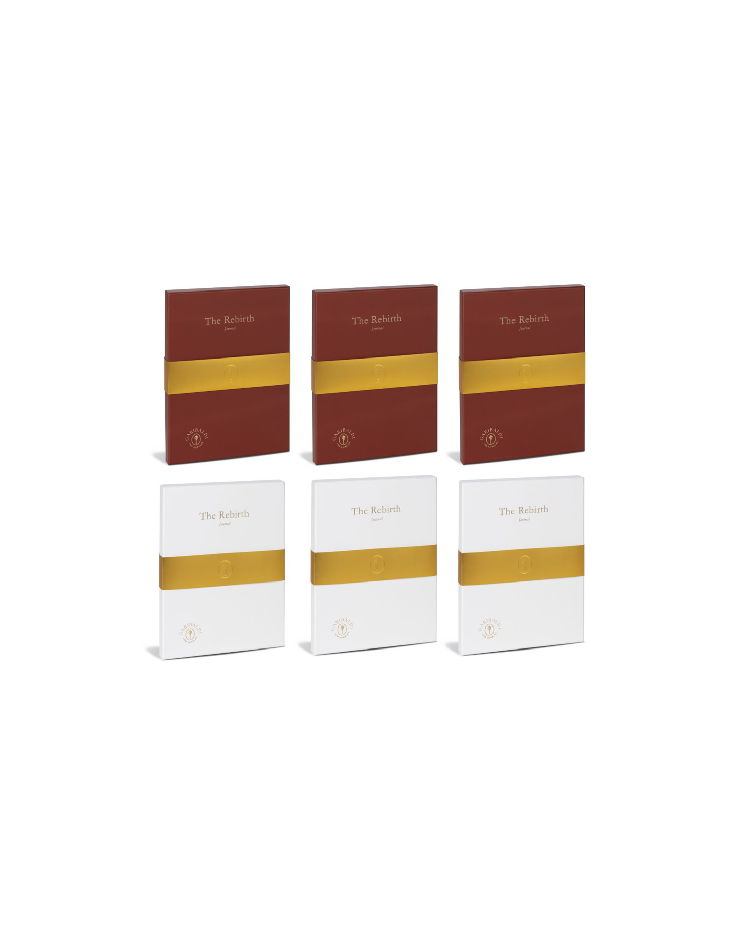 The Rebirth Journal Small Group Package