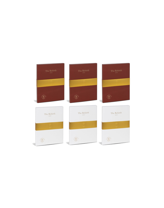 The Rebirth Journal Small Group Package